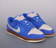 Authentic Nike Dunk Low (24)