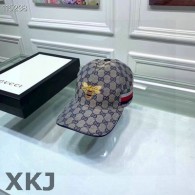 Gucci Snapback Hat AAA Quality （445）