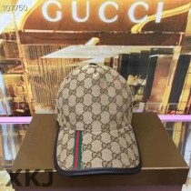Gucci Snapback Hat AAA Quality （118）