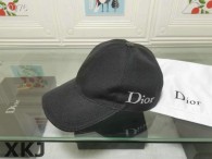 Dior Hat AAA Quality （14）