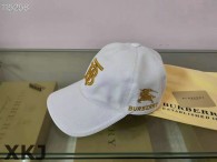 Burberry Snapback Hat AAA Quality （65）