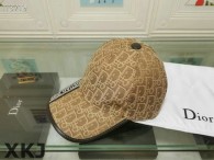 Dior Hat AAA Quality （40）