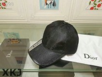 Dior Hat AAA Quality （26）