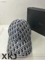 Dior Hat AAA Quality （42）