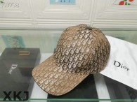 Dior Hat AAA Quality （57）