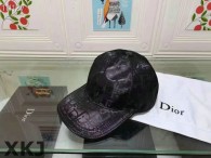 Dior Hat AAA Quality （6）
