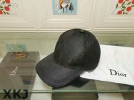 Dior Hat AAA Quality （47）