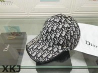 Dior Hat AAA Quality （43）