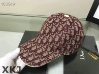 Dior Hat AAA Quality （23）