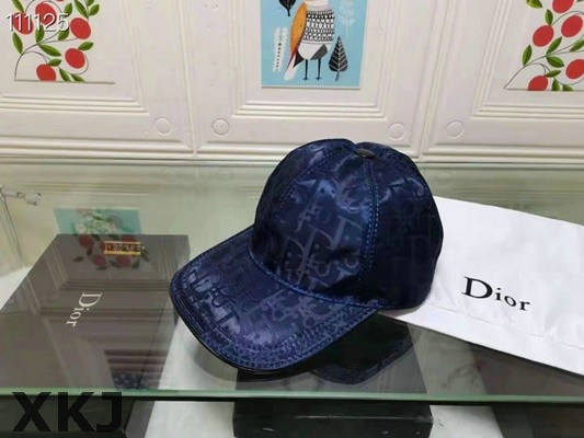 Dior Hat AAA Quality （45）