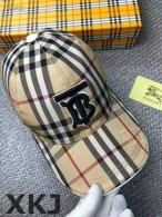Burberry Snapback Hat AAA Quality （75）