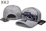 Red Bull & Puma Snapback Hat (26)