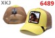 GOORIN BROS Snapback Hat (53)