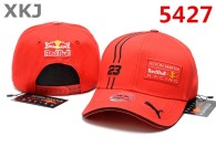 Red Bull & Puma Snapback Hat (13)