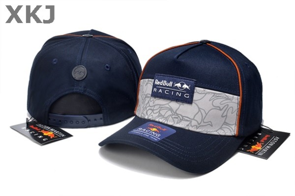 Red Bull & Puma Snapback Hat (22)