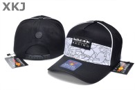 Red Bull & Puma Snapback Hat (32)