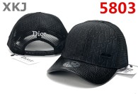 Dior Snapback Hat (5)