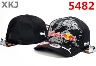 Red Bull & Puma Snapback Hat (18)