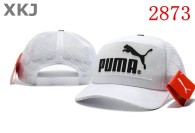 Puma Snapback Hat (2)