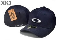 OAKLEY CLASSIC LOW Snapback Hat (7)