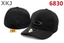 OAKLEY CLASSIC LOW Snapback Hat (5)