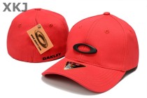 OAKLEY CLASSIC LOW Snapback Hat (4)