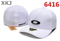 OAKLEY CLASSIC LOW Snapback Hat (11)