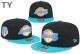 NBA Los Angeles Lakers Snapback Hat (483)