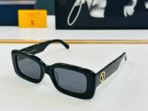 LV Sunglasses AAA (698)