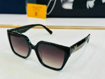 LV Sunglasses AAA (665)