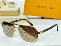LV Sunglasses AAA (994)