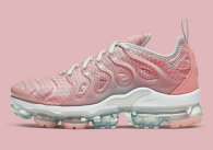 Nike Air Max Plus TN Shoes (47)