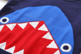 Toddler Boys Knit Pullover Sweater Shark Pattern