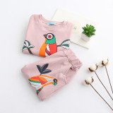 Toddler Girl 2 Pieces Print Colorful Birds Long Sleeve Sweatshirt and Jogger Pants Clothes Set Outfit