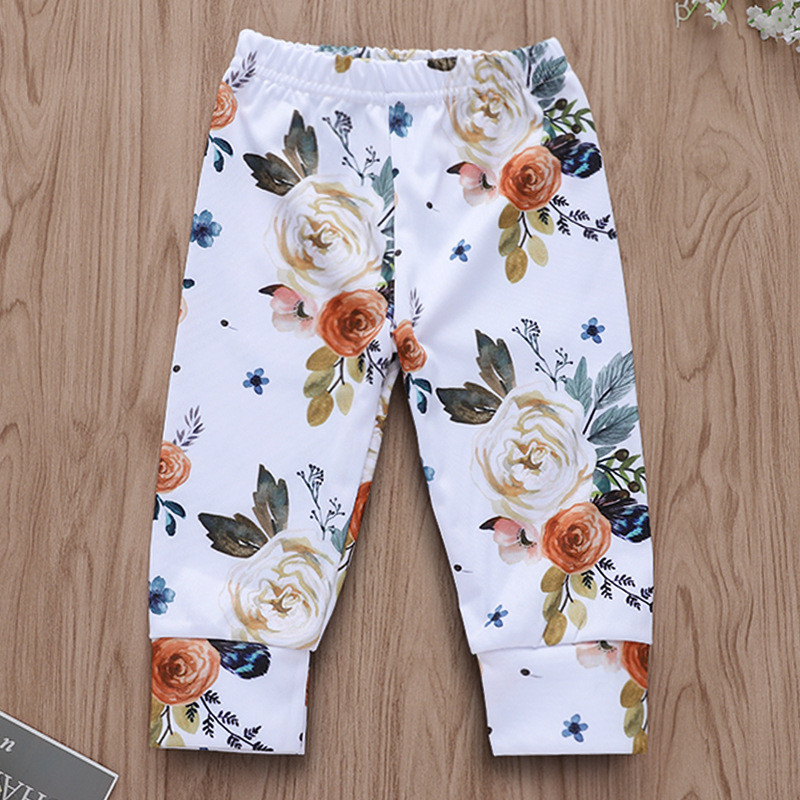 Baby Girl Print Flowers Ruffles Blouse and Pants Two Pieces Outfits