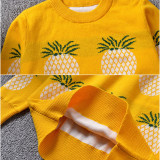 Toddler Girl Knit Pullover Fruit Pineapples Pattern Sweater