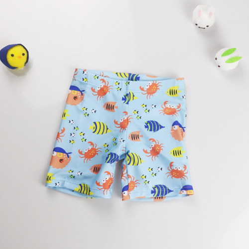 Kid Boys Print Fish Swimwear Trunks Swim Boxer Shorts