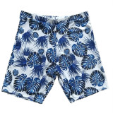 Family Matching Swimwear Print Blue Leaves Bikini Set and Truck Shorts