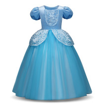 Kid Girl 3D Lace Embroidered Flowers Blue Royal Gown Dress Halloween Cinderella