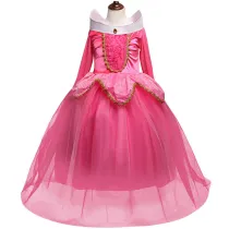 Kid Girl Princess Dress With Long Sleeve Mesh