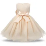 Kid Girl 3D Rose Flowers Lace Bowknot Bright Spot Gown Dress