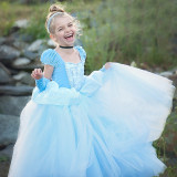 Kid Girl 3D Lace Embroidered Flowers Blue Royal Gown Dress Halloween Cinderella