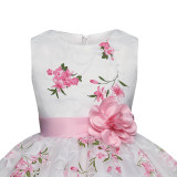 Kid Girl  3D Colorful Flower Embroidery Lace Mesh Sleeveless Dress