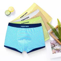Kid Boys 4 Packs Stripes Boxer Briefs Cotton Underwear