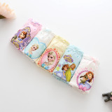 Kid Girls 5 Packs Frozen Cartoon Princess Briefs Print Cotton
