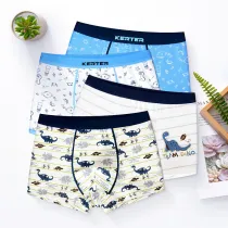 Kid Boys 4 Packs Print Dinosaur Sea Horse Boxer Briefs Cotton Underwear