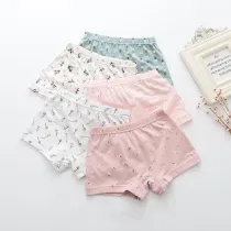 Kid Girls 5 Packs Print Flowers Boxer Briefs Cotton Underwear