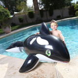 Black Whale Ride-On Inflatable Pool Floats Toy For Kids Child Adults
