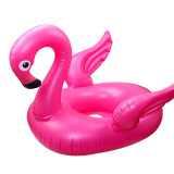 Pink-Flamingos
