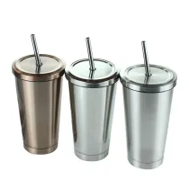 Insulated Stainless Steel Tumbler Straw Cup Vacuum Water Bottles